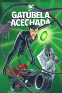 Catwoman: Hunted [Subtitulado]